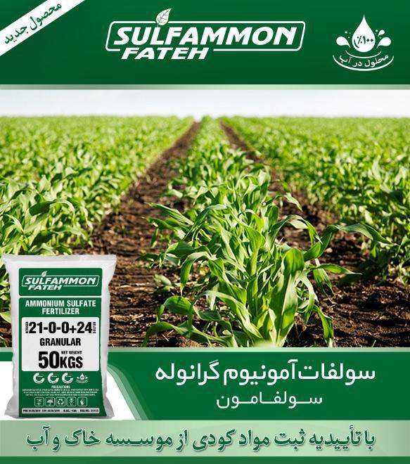 کود سولفات آمونیوم کود سولفات آمونیوم